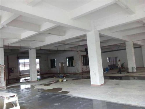 江門(mén)市廠房承重安全檢測(cè)鑒定辦理公司怎么找 江門(mén)市新聞